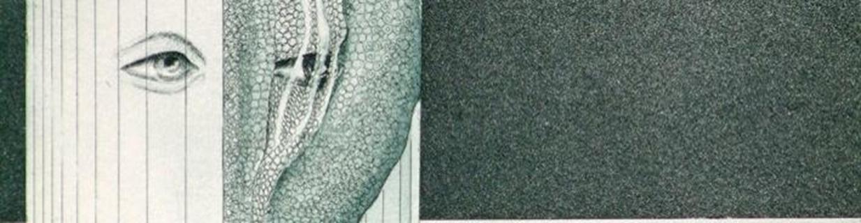 Il mondo di Riccardo Prevosti  gremito di inusuali morbidit, di sottintesi e anche di metaforico e insinuante erotismo. La maniera come presenta un panno piegato accanto alla rotondit splendente della luna; la stessa carnosit dei petali di rose, gli anfratti promettenti di una conchiglia o, pi scopertamente, lincerta copertura del pube adolescente, in fogli come Lago dell80 e il sogno dell83, sono tante successive presenze di un vento inquieto che percorre, con stimoli e e fantasmagorie notturne (proprio come il vento che soffia a pause, specialmente se non violento) tutta lopera incisoria dellartista bresciano.