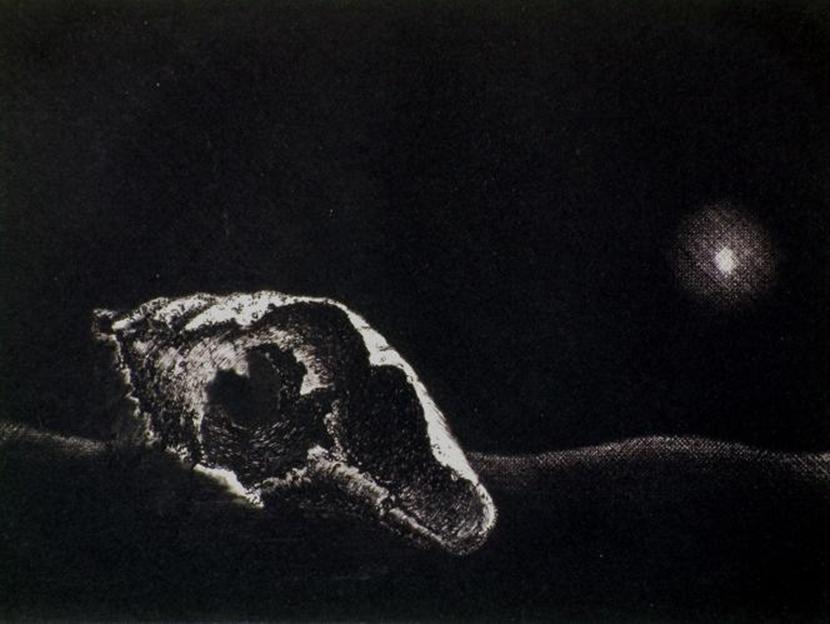 Ultima spiaggia, una incisione del 1979 di Riccardo Prevosti: acquaforte, maniera sale, maniera nera Lastra rame mm. 247 x 180.
